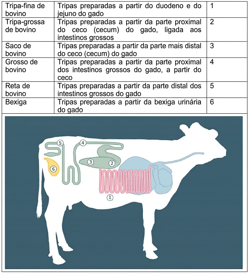 tripa de bovino