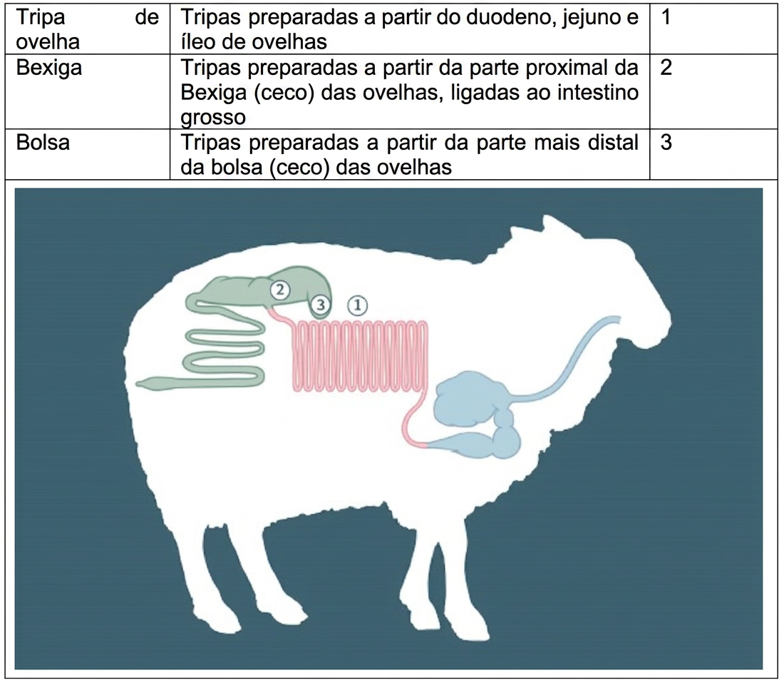 tripa de ovelho